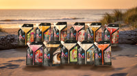 The Whole Gang: all 11 MXTOLOGY cocktail pouches lined up on a beach at sunset